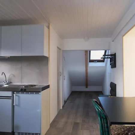 - Sleeps 3 - Balcony - Garden Feldkirch